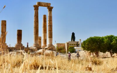 Know Thyself: the Oracle of Delphi on Organizational Health